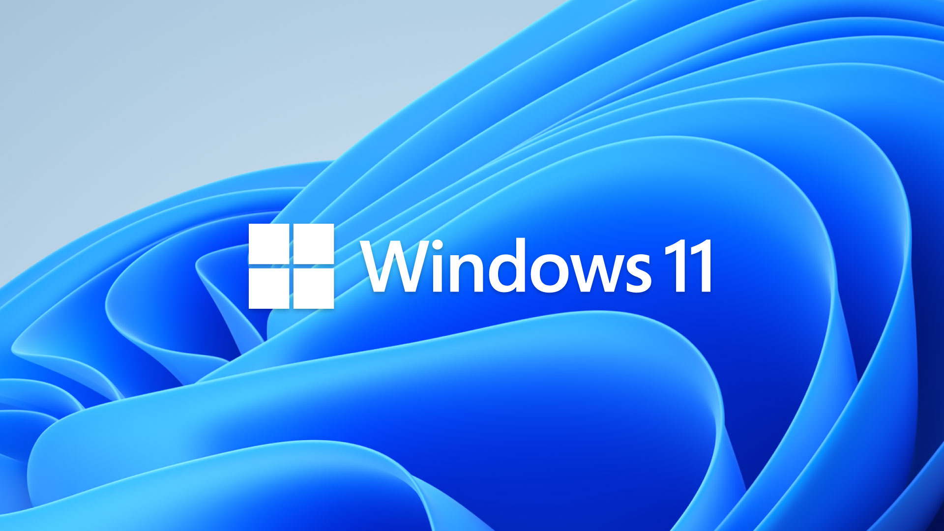 Windows 11 help and support